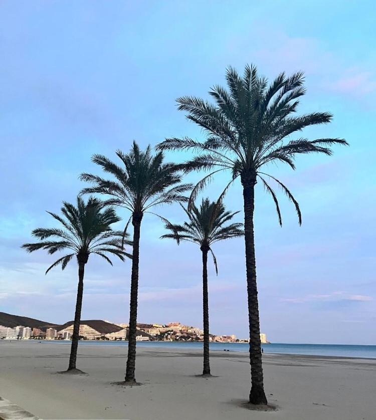 קויירה A 50 M De La Plage מראה חיצוני תמונה